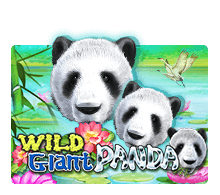 ทดลองเล่น Wild Giant Panda