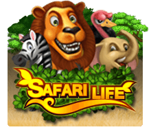 รูปปก รีวิวเกม Safari Life